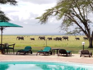 3 Day Amboseli Safari