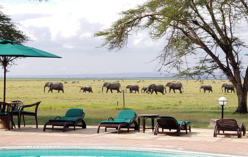 3 Day Amboseli Safari