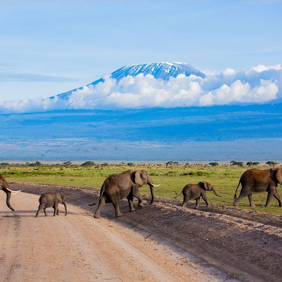 Amboseli